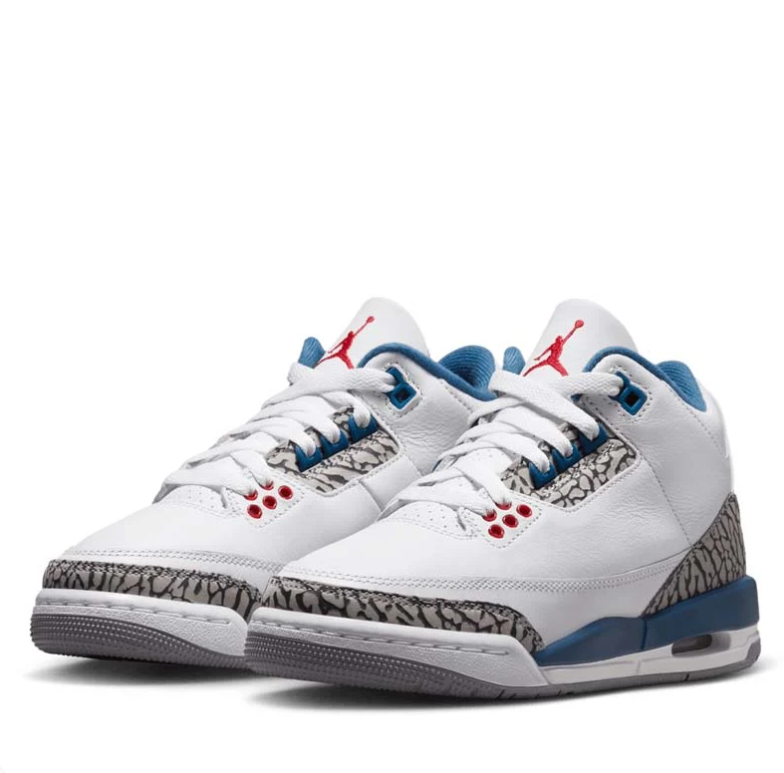Jordan White and Blue Sneakers with Elephant-Print Panels and Red Accents